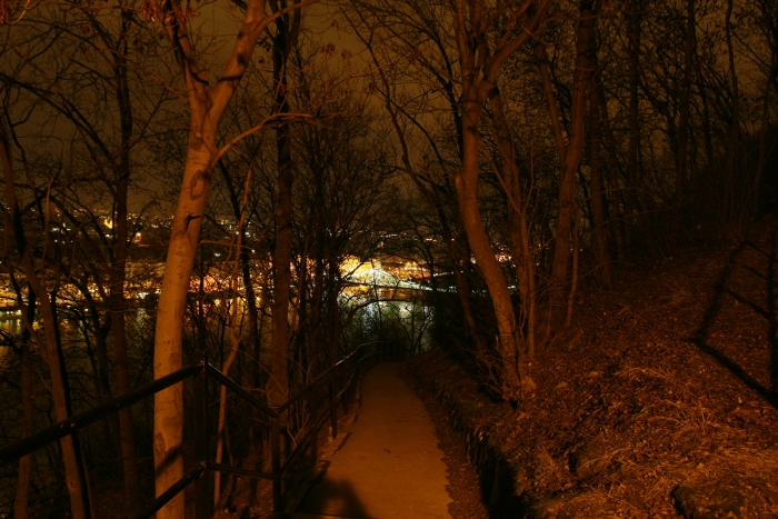 Gellert hill at night